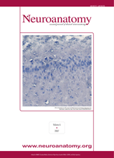 cover 2007